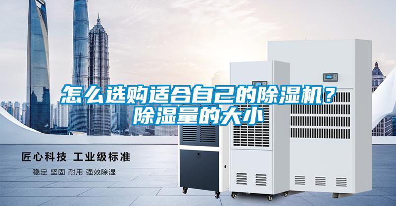 怎么選購(gòu)適合自己的除濕機(jī)？除濕量的大小