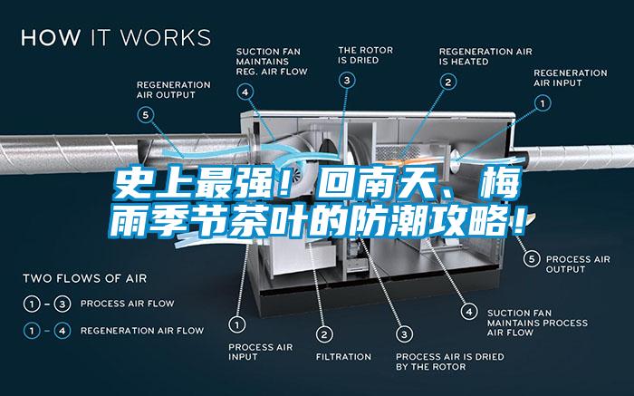 史上最強！回南天、梅雨季節茶葉的防潮攻略！