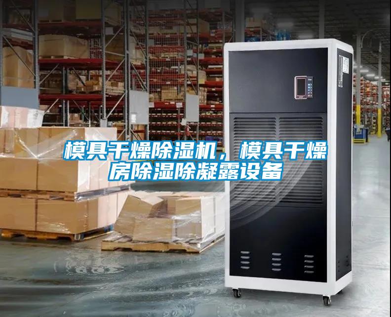 模具干燥除濕機，模具干燥房除濕除凝露設(shè)備