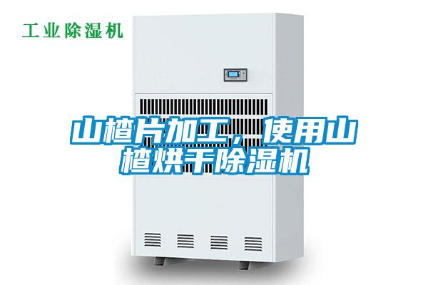 山楂片加工，使用山楂烘干除濕機
