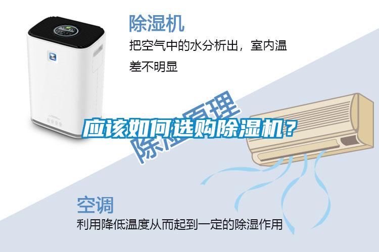 應該如何選購除濕機？