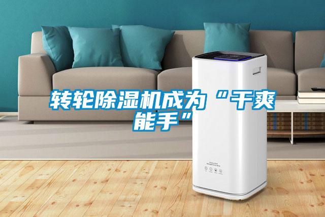 轉輪除濕機成為“干爽能手”