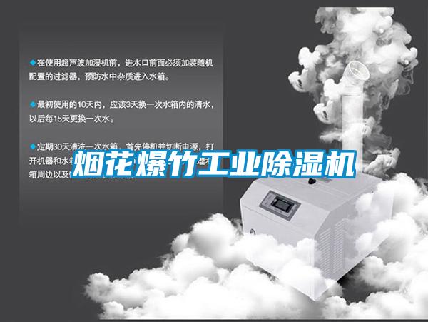 煙花爆竹工業除濕機