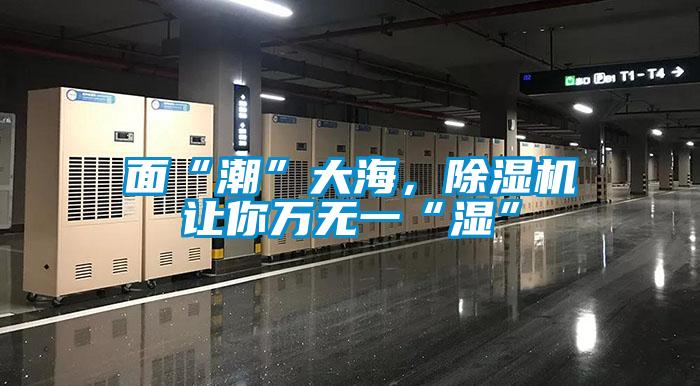 面“潮”大海，除濕機讓你萬無一“濕”