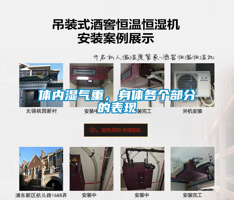 體內濕氣重，身體各個部分的表現(xiàn)