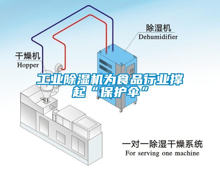 工業(yè)除濕機為食品行業(yè)撐起“保護傘”