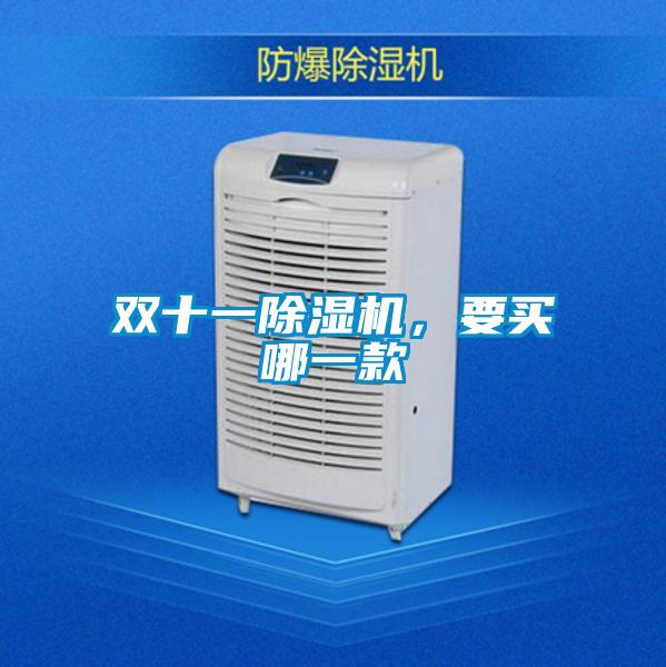 雙十一除濕機，要買哪一款