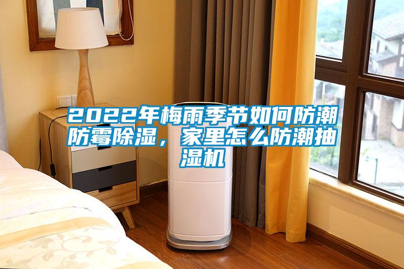 2022年梅雨季節(jié)如何防潮防霉除濕，家里怎么防潮抽濕機