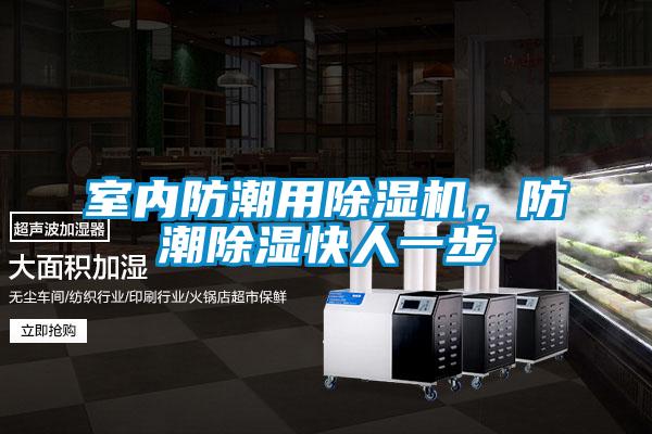 室內(nèi)防潮用除濕機，防潮除濕快人一步