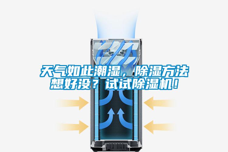 天氣如此潮濕，除濕方法想好沒？試試除濕機！