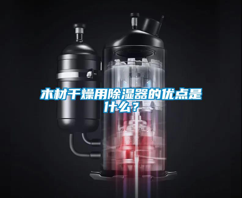 木材干燥用除濕器的優(yōu)點是什么？