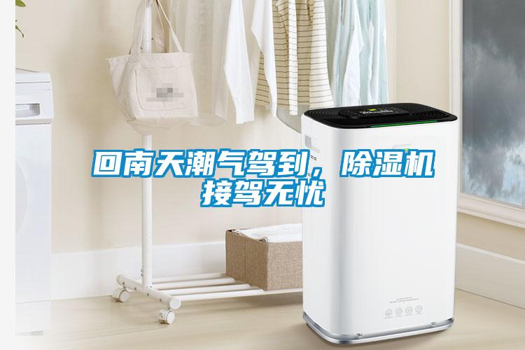 回南天潮氣駕到，除濕機接駕無憂