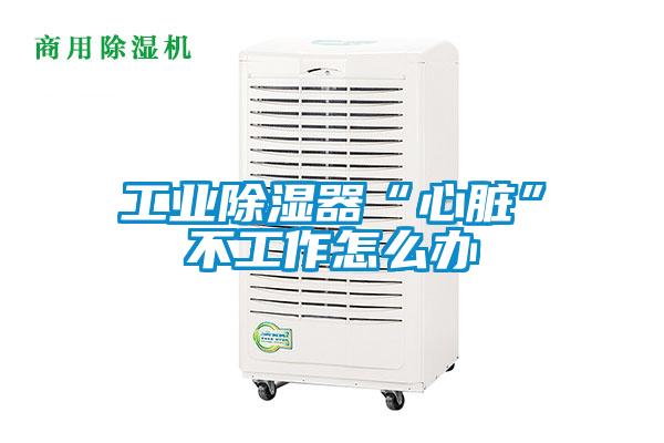 工業除濕器“心臟”不工作怎么辦
