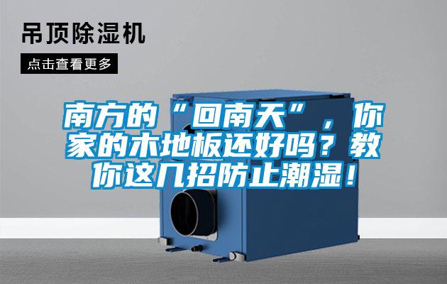 南方的“回南天”，你家的木地板還好嗎？教你這幾招防止潮濕！