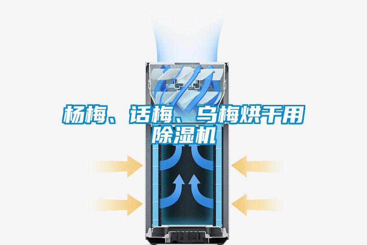 楊梅、話梅、烏梅烘干用除濕機