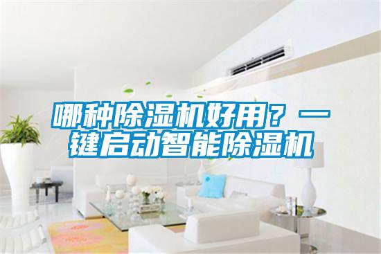 哪種除濕機好用？一鍵啟動智能除濕機