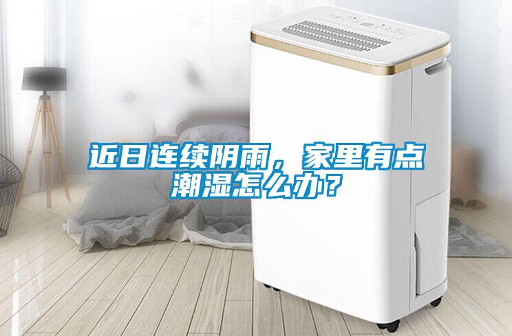 近日連續陰雨，家里有點潮濕怎么辦？