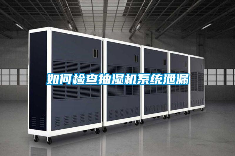 如何檢查抽濕機系統泄漏