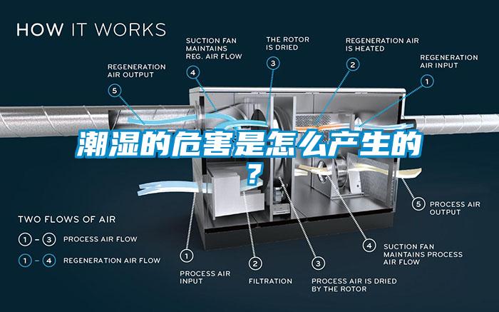 潮濕的危害是怎么產(chǎn)生的？