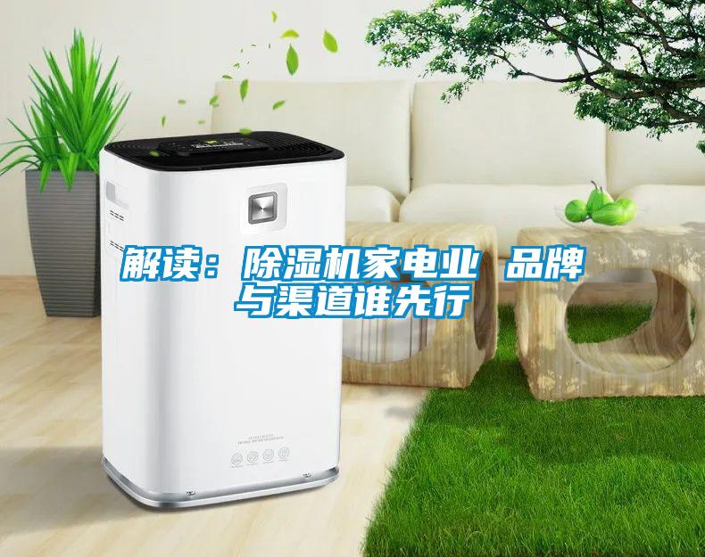 解讀：除濕機家電業 品牌與渠道誰先行