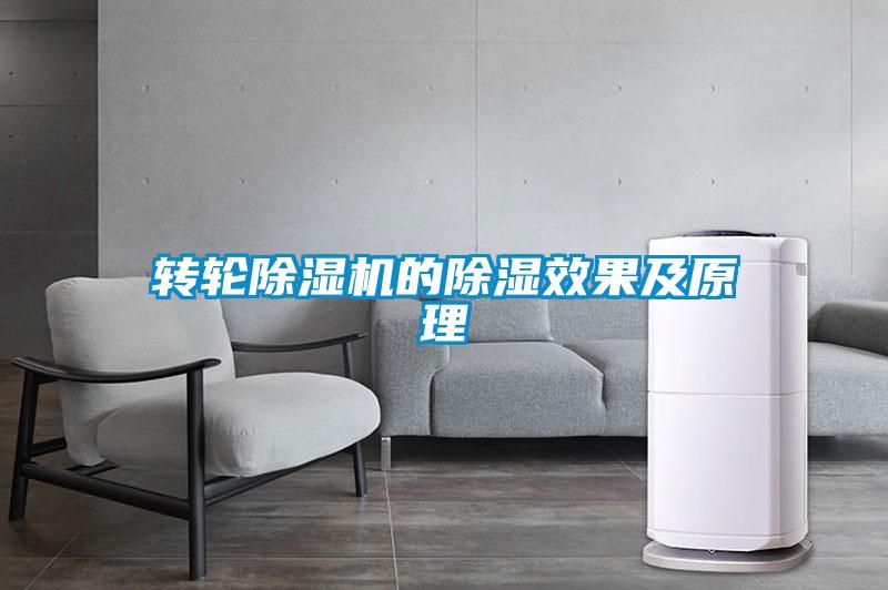 轉輪除濕機的除濕效果及原理