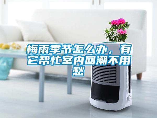梅雨季節(jié)怎么辦，有它幫忙室內(nèi)回潮不用愁