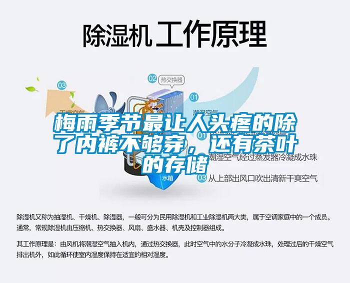 梅雨季節(jié)最讓人頭疼的除了內(nèi)褲不夠穿，還有茶葉的存儲