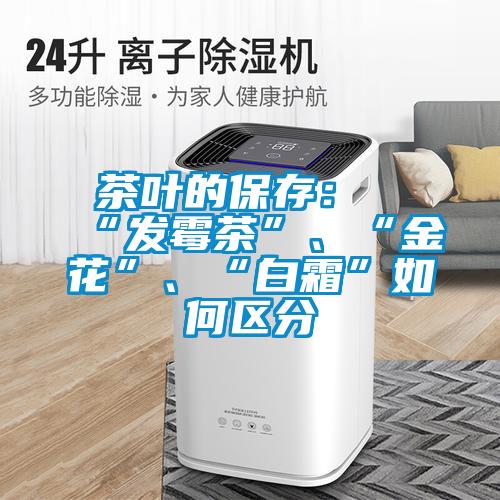茶葉的保存：“發霉茶”、“金花”、“白霜”如何區分