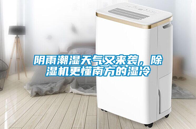 陰雨潮濕天氣又來襲，除濕機更懂南方的濕冷