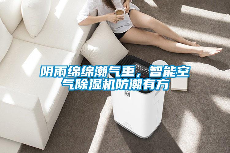 陰雨綿綿潮氣重，智能空氣除濕機防潮有方