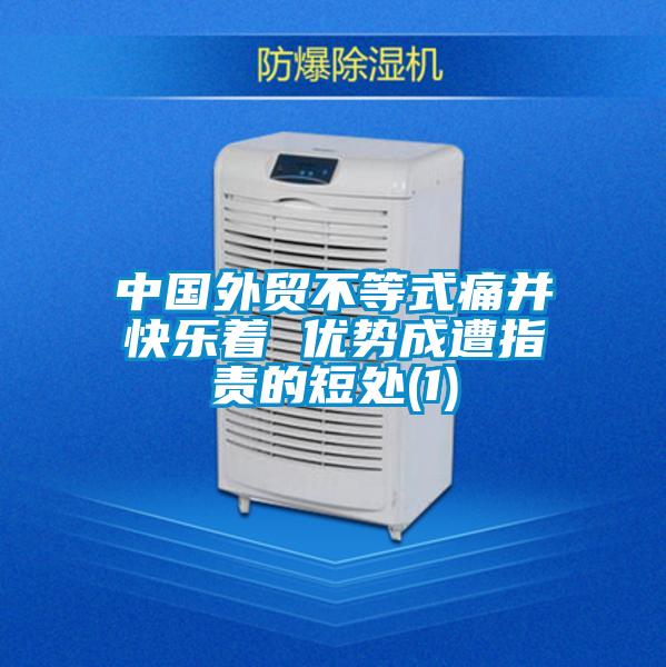 中國外貿不等式痛并快樂著 優勢成遭指責的短處(1)