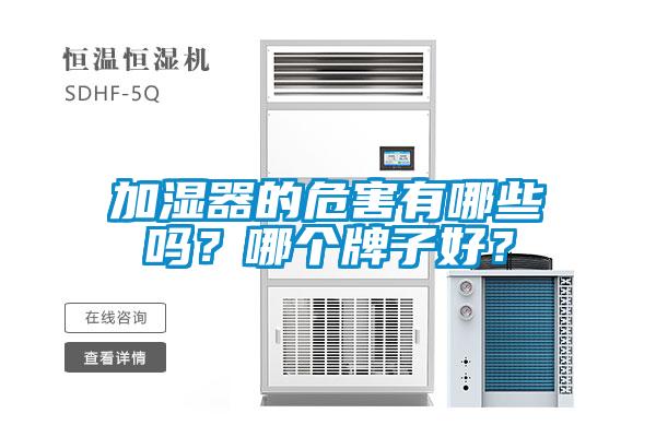 加濕器的危害有哪些嗎？哪個牌子好？