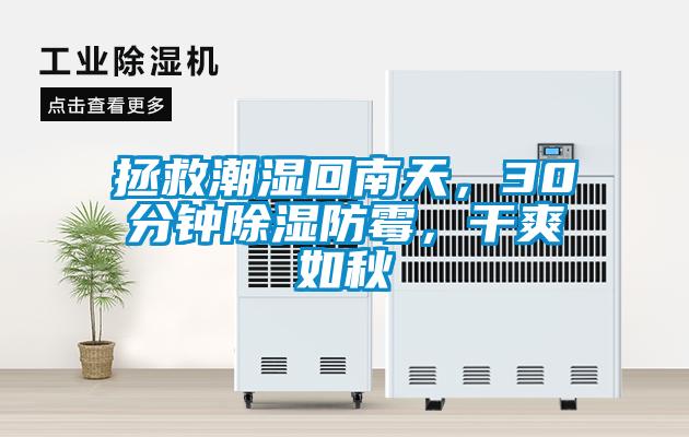 拯救潮濕回南天，30分鐘除濕防霉，干爽如秋