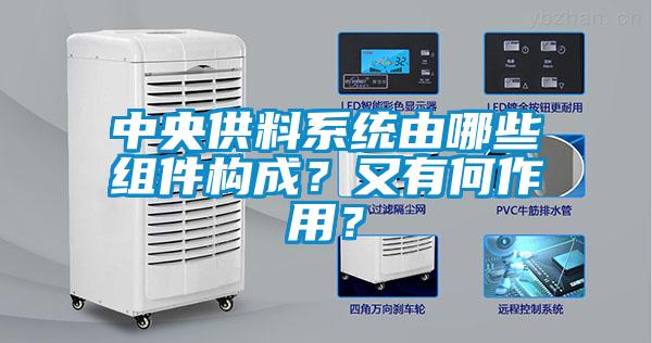 中央供料系統由哪些組件構成？又有何作用？
