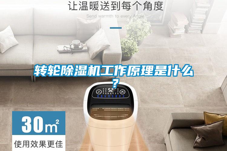 轉輪除濕機工作原理是什么？