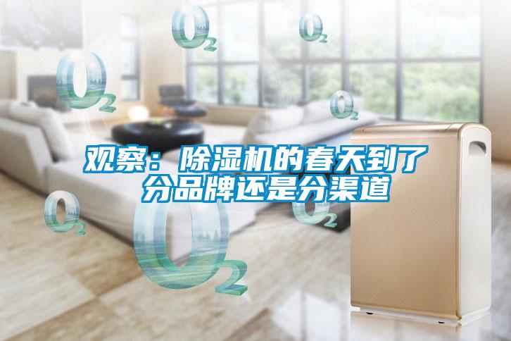 觀察：除濕機的春天到了 分品牌還是分渠道