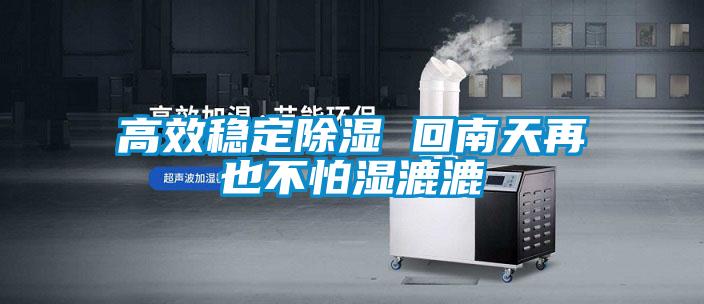高效穩定除濕 回南天再也不怕濕漉漉
