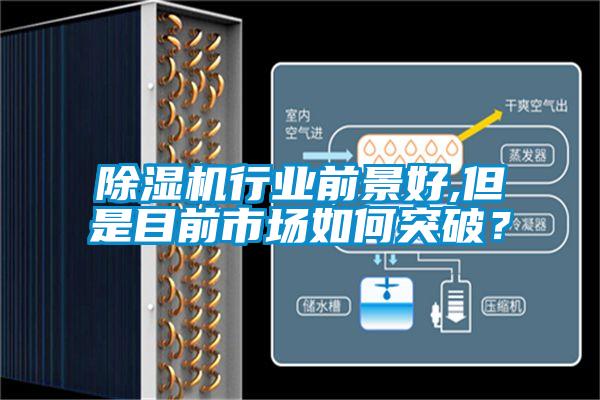 除濕機行業前景好,但是目前市場如何突破？