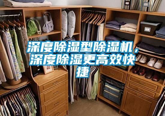 深度除濕型除濕機，深度除濕更高效快捷