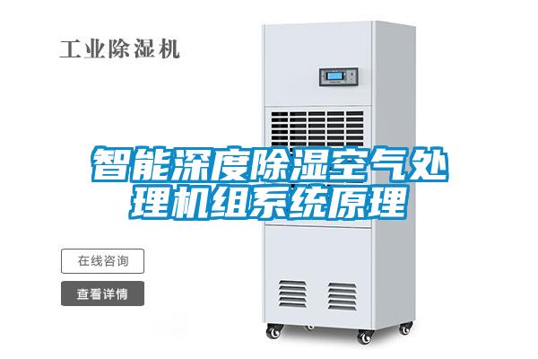 智能深度除濕空氣處理機組系統原理