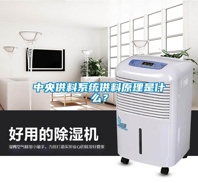 中央供料系統供料原理是什么？