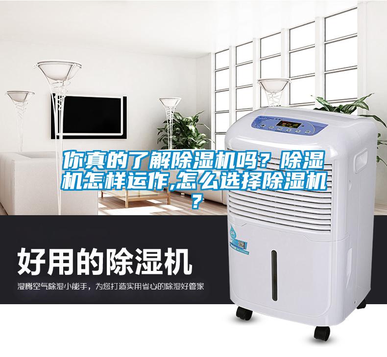 你真的了解除濕機嗎？除濕機怎樣運作,怎么選擇除濕機？