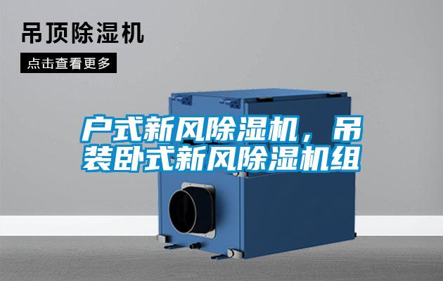 戶式新風(fēng)除濕機(jī)，吊裝臥式新風(fēng)除濕機(jī)組
