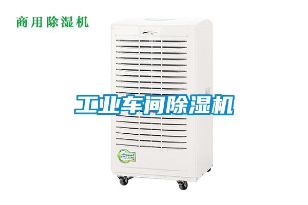 工業(yè)車間除濕機(jī)