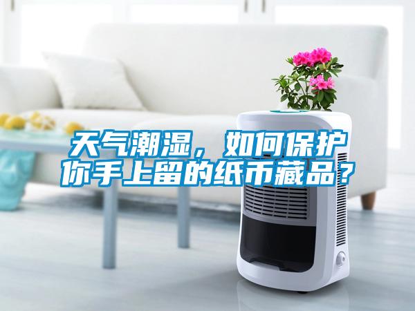 天氣潮濕，如何保護你手上留的紙幣藏品？