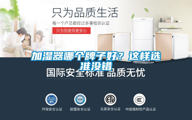 加濕器哪個牌子好？這樣選準沒錯