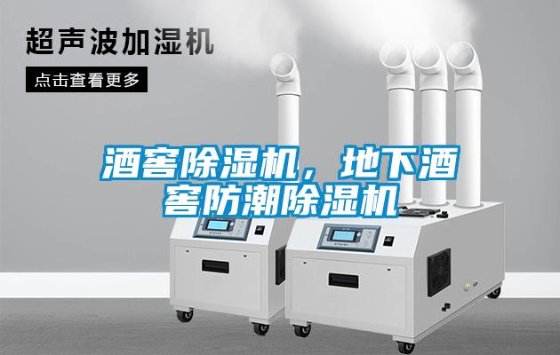 酒窖除濕機(jī)，地下酒窖防潮除濕機(jī)