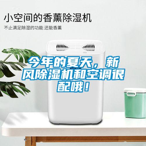 今年的夏天，新風除濕機和空調(diào)很配哦！