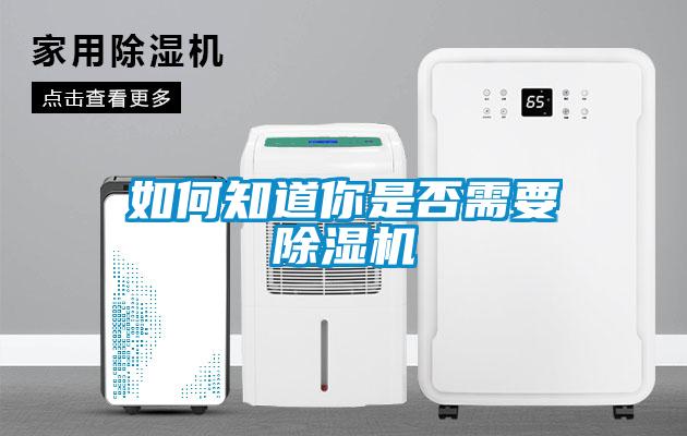 如何知道你是否需要除濕機