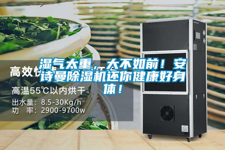 濕氣太重，大不如前！安詩(shī)曼除濕機(jī)還你健康好身體！